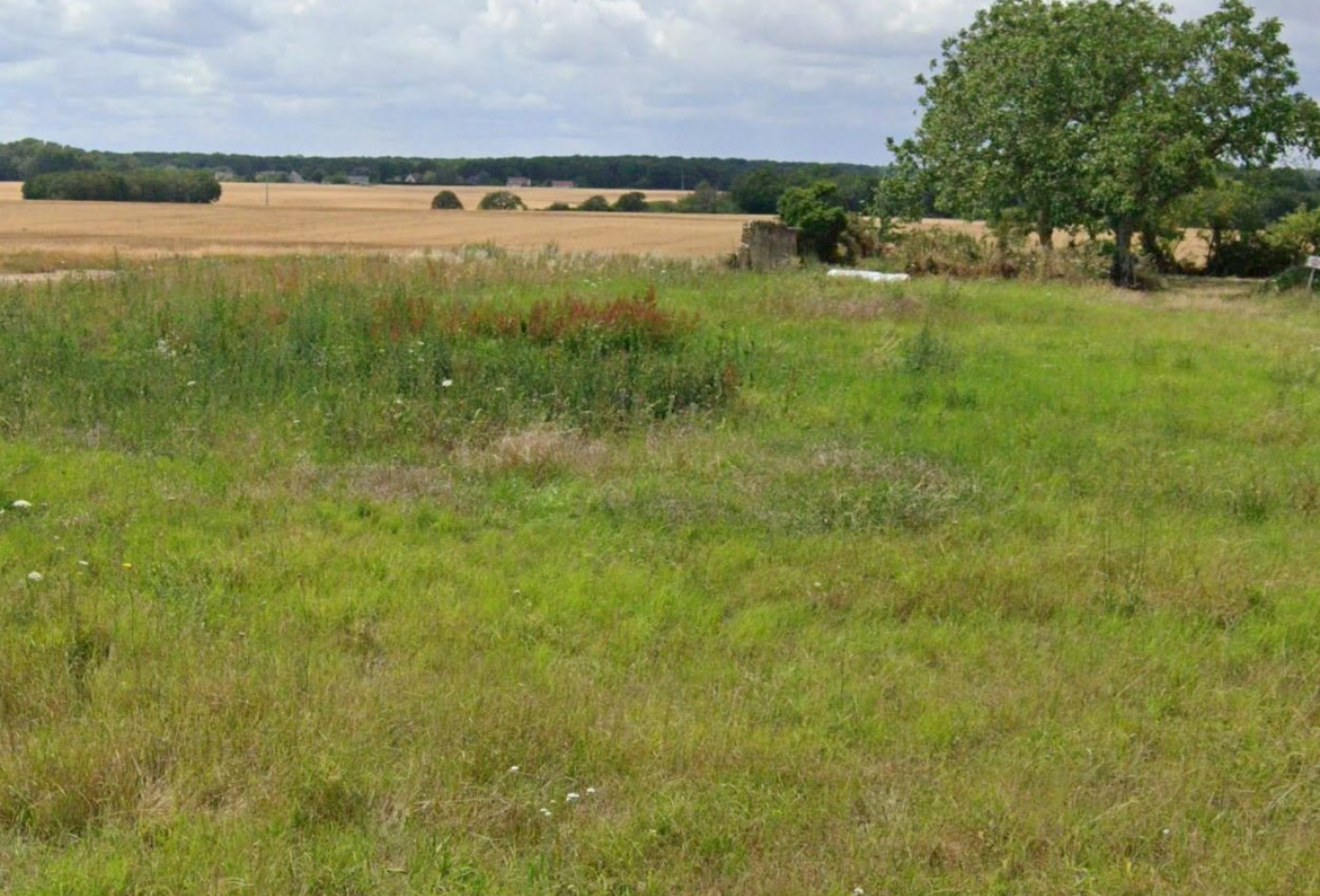 vente Terrain constructible Saint Sauveur Marville - Photo 1