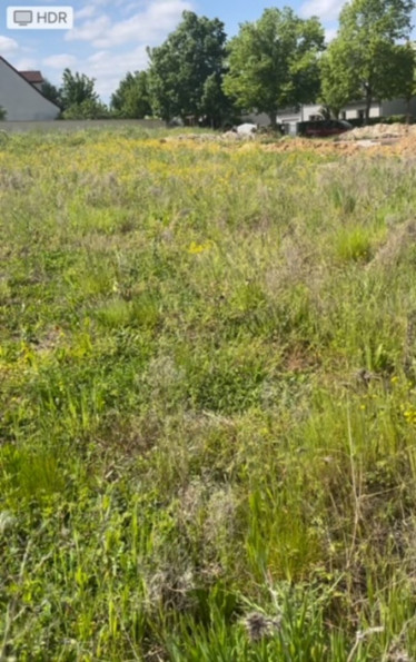 vente Terrain constructible Ingre - Photo 1