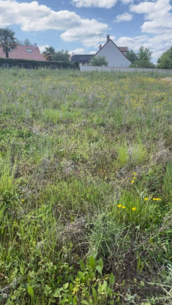 vente Terrain constructible La Chapelle Saint Mesmin - Photo 1