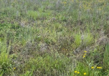 vente Terrain constructible La Chapelle Saint Mesmin