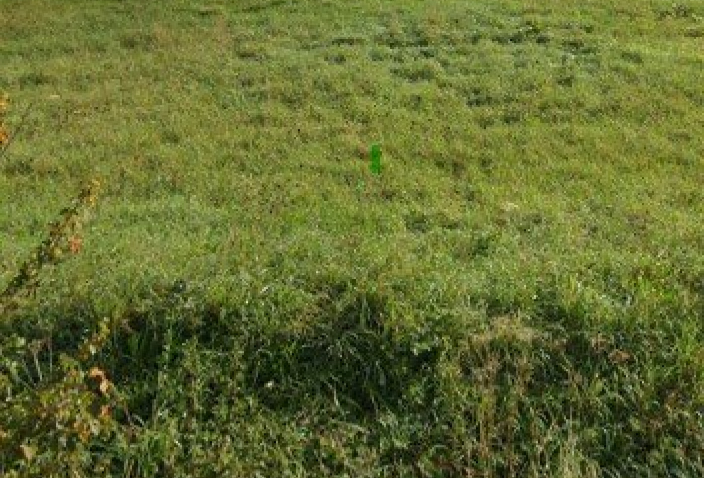 vente Terrain en lotissement Pannes - Photo 2