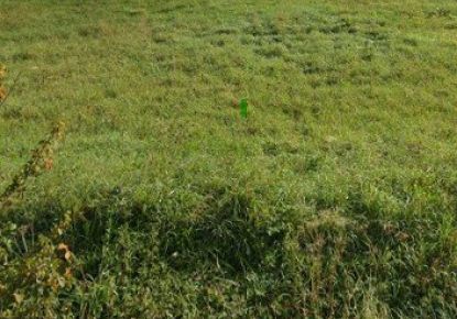 vente Terrain en lotissement Pannes