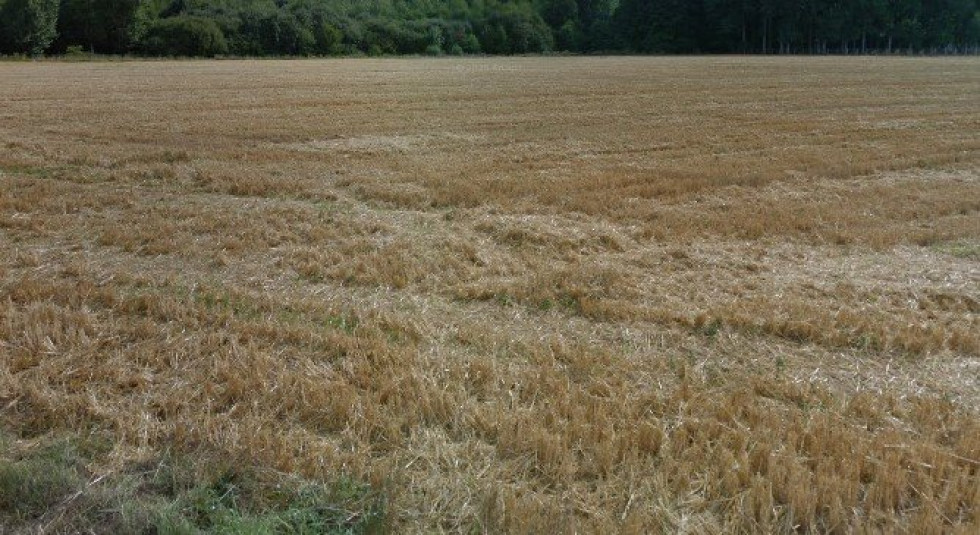 vente Terrain constructible Yermenonville - Photo 1