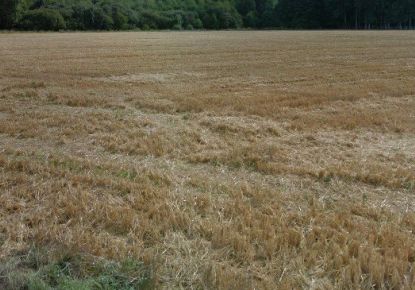 vente Terrain constructible Yermenonville