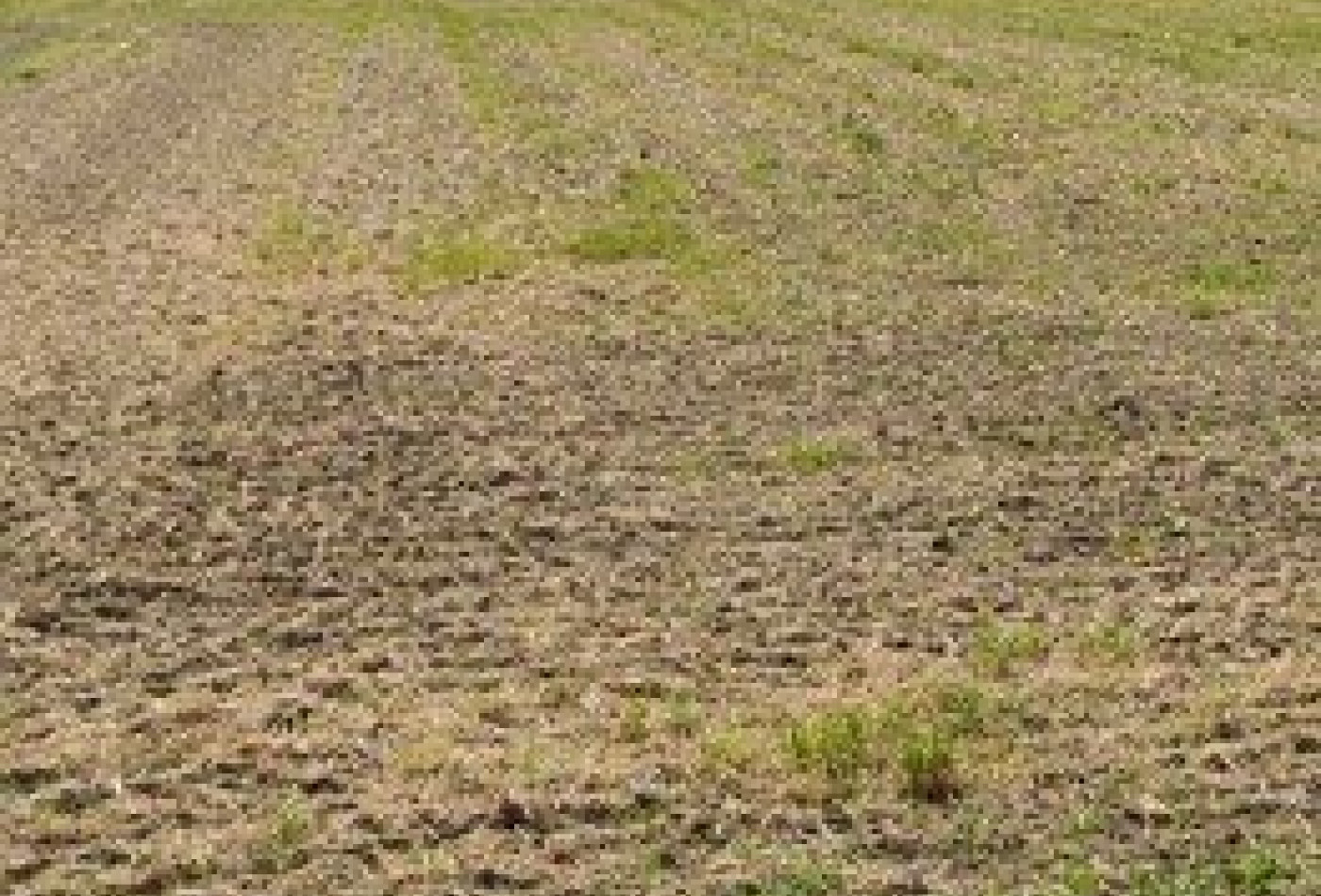 vente Terrain constructible Bouzonville Aux Bois - Photo 1