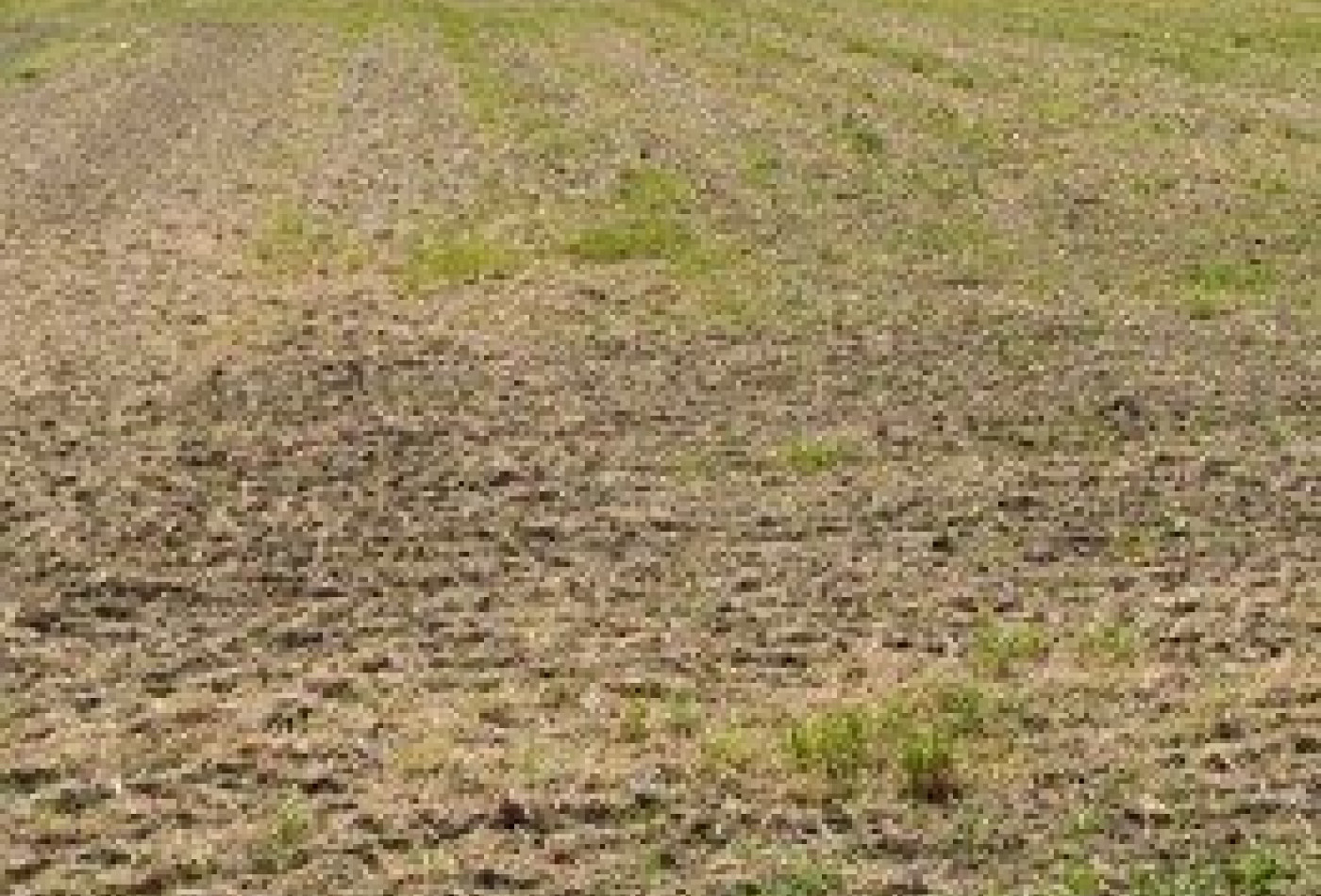 vente Terrain constructible Bouzonville Aux Bois - Photo 1