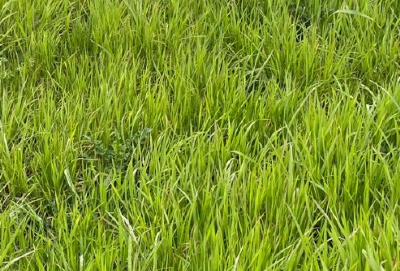 vente Terrain à aménager Ballancourt Sur Essonne - Photo 1