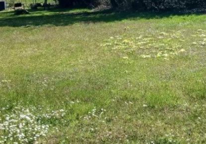 vente Terrain Boiscommun