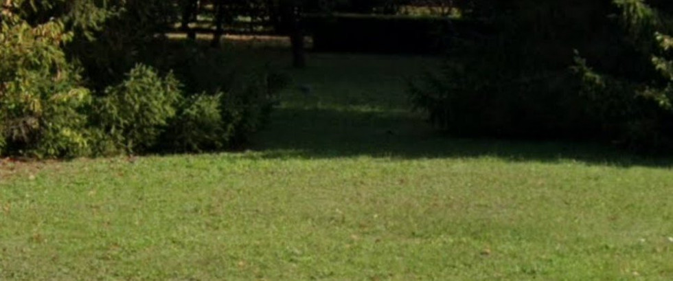 vente Terrain à aménager Saran - Photo 1