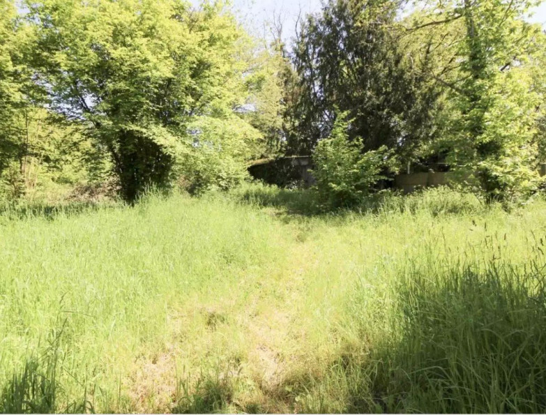 vente Terrain à aménager Montbouy - Photo 1