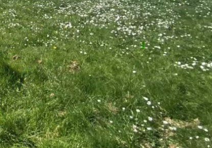 vente Terrain à aménager Charsonville