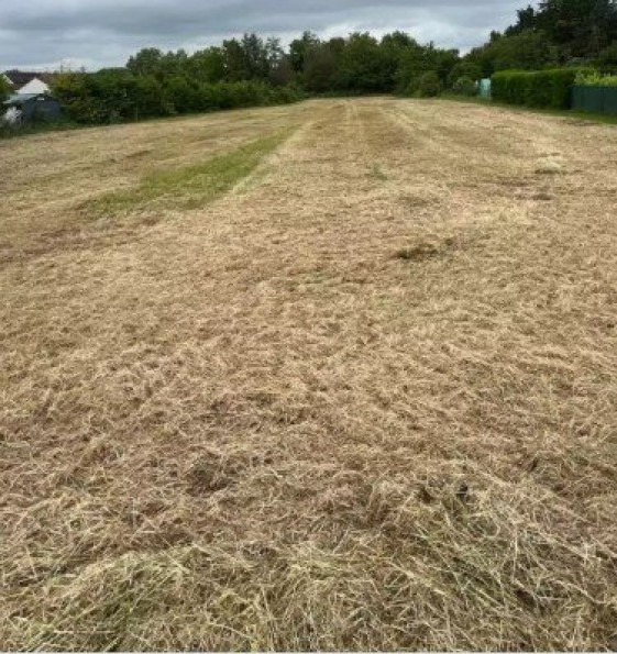 vente Terrain à aménager Bondaroy - Photo 1