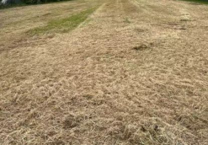 vente Terrain à aménager Bondaroy