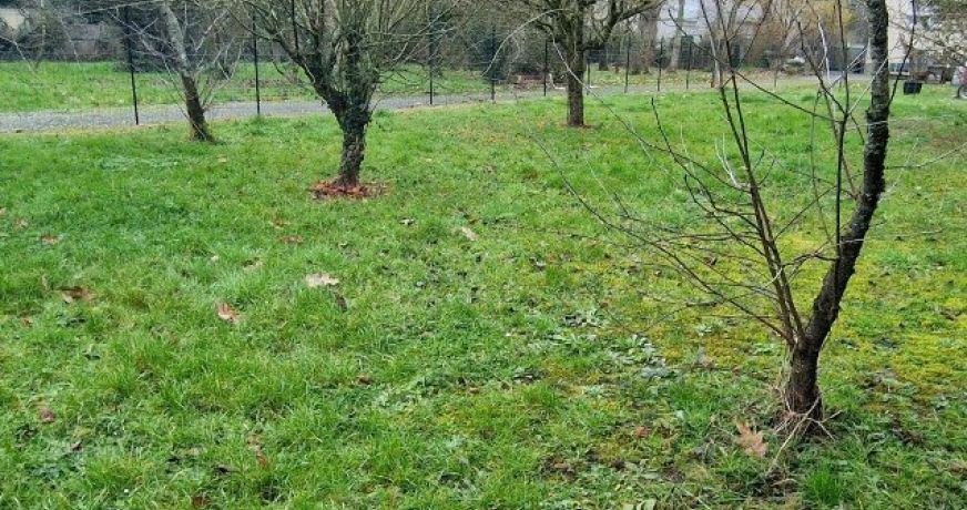 vente Terrain à aménager Fleury Les Aubrais