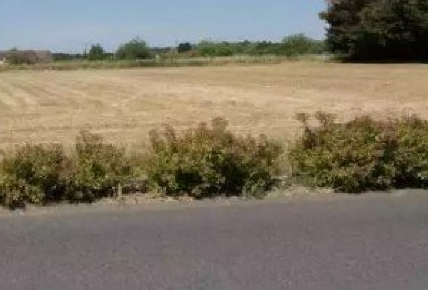 vente Terrain à aménager Quiers Sur Bezonde - Photo 1