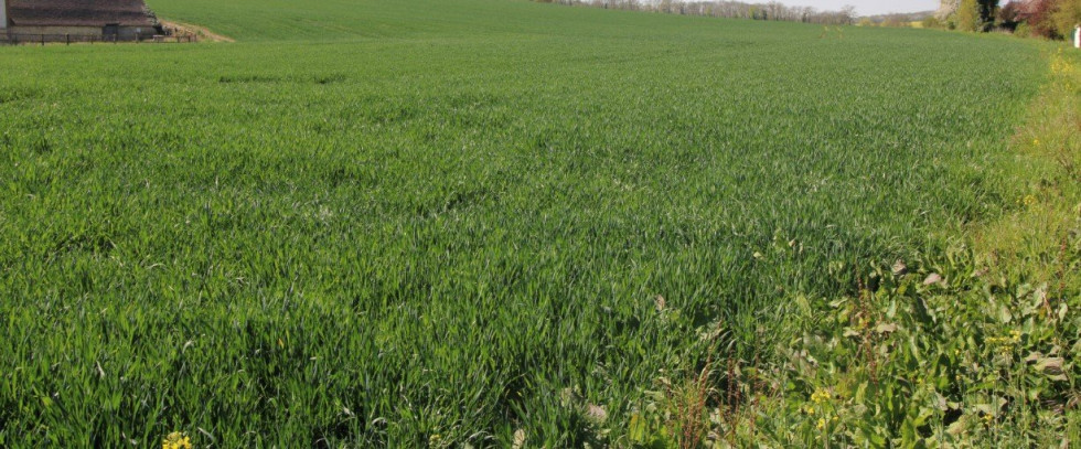 vente Terrain à aménager Prouais - Photo 1