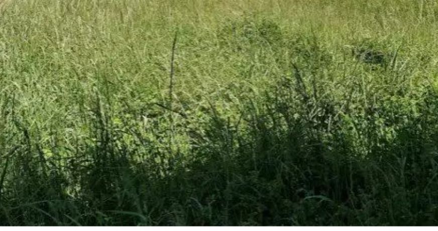 vente Terrain constructible Baccon