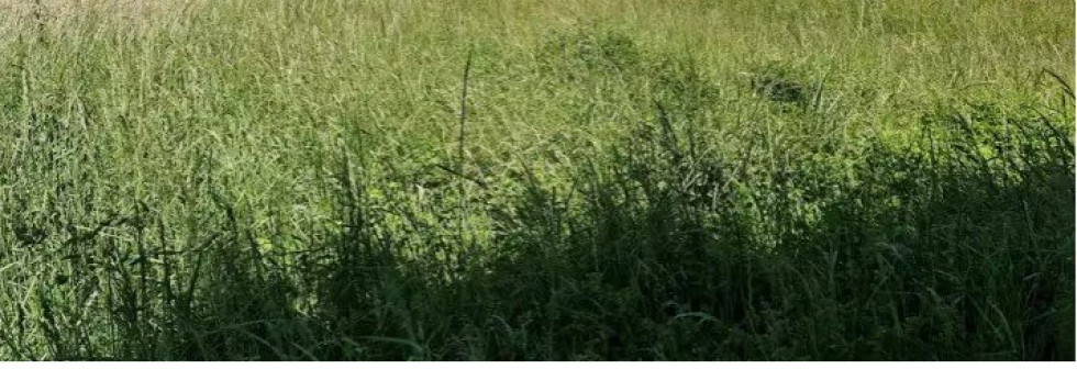 vente Terrain à aménager Vinneuf - Photo 1