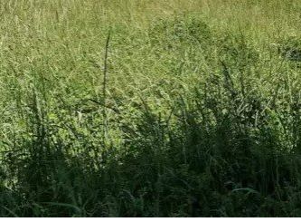 vente Terrain à aménager Vinneuf