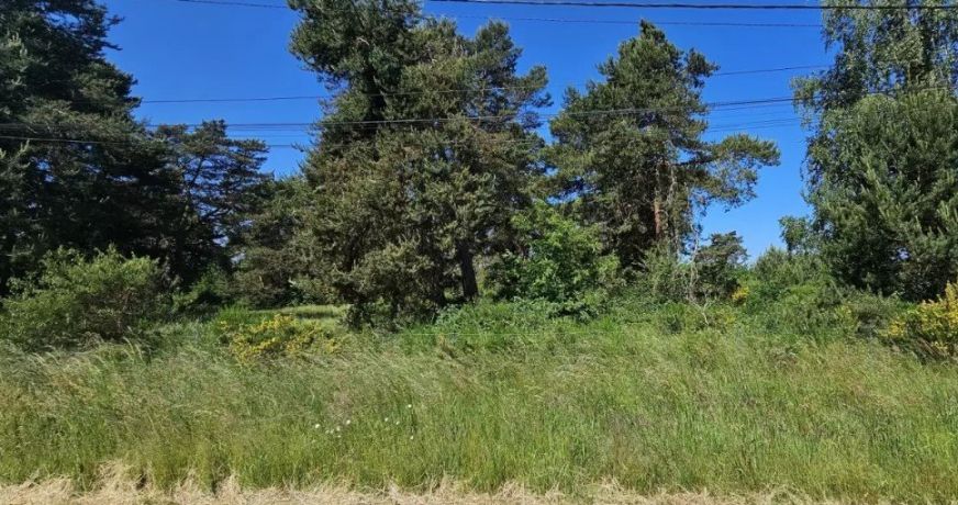 vente Terrain à aménager Vieilles Maisons Sur Joudr