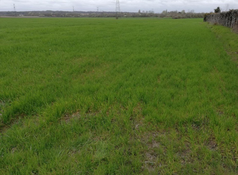 vente Terrain à aménager La Chapelle Saint Mesmin - Photo 1