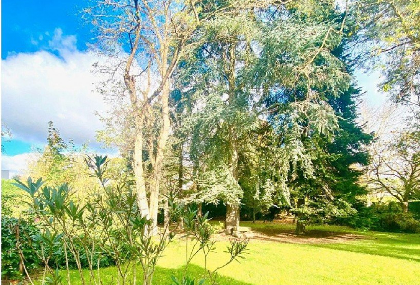 vente Terrain à aménager Sandillon - Photo 1