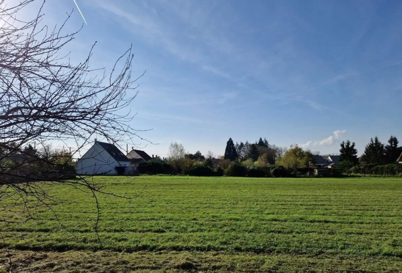 vente Terrain à aménager Lailly En Val - Photo 1