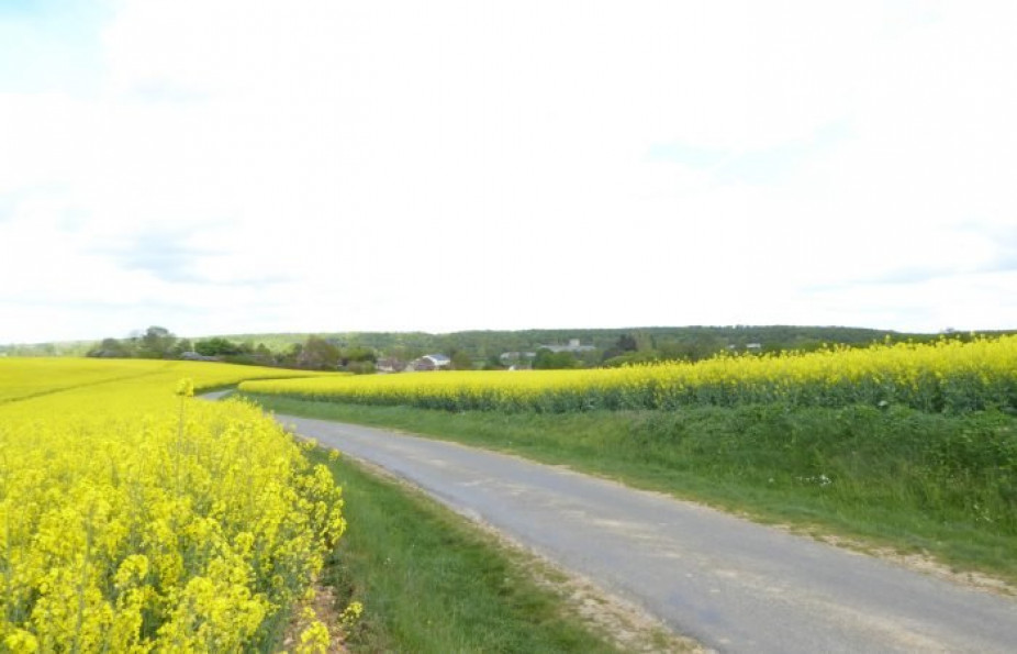 vente Terrain constructible Treon - Photo 1