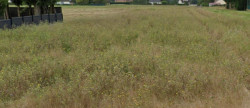 vente Terrain constructible Menestreau En Villette