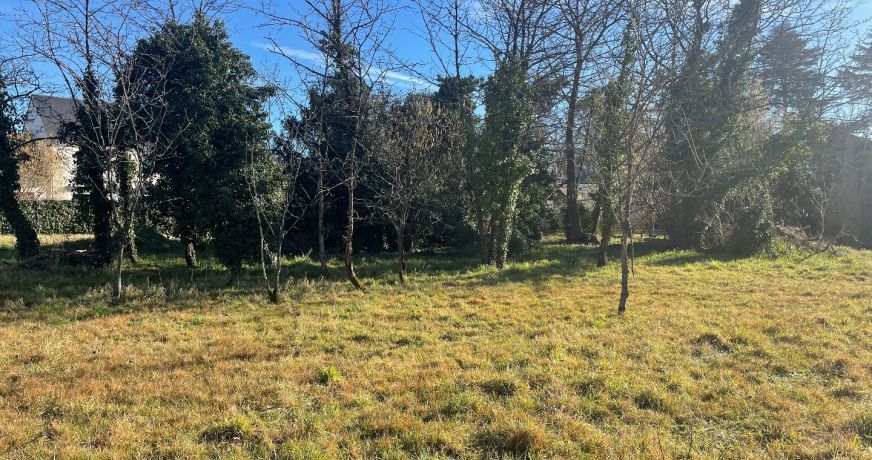 vente Terrain Chateauneuf Sur Loire