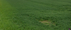 vente Terrain constructible Prunay En Yvelines