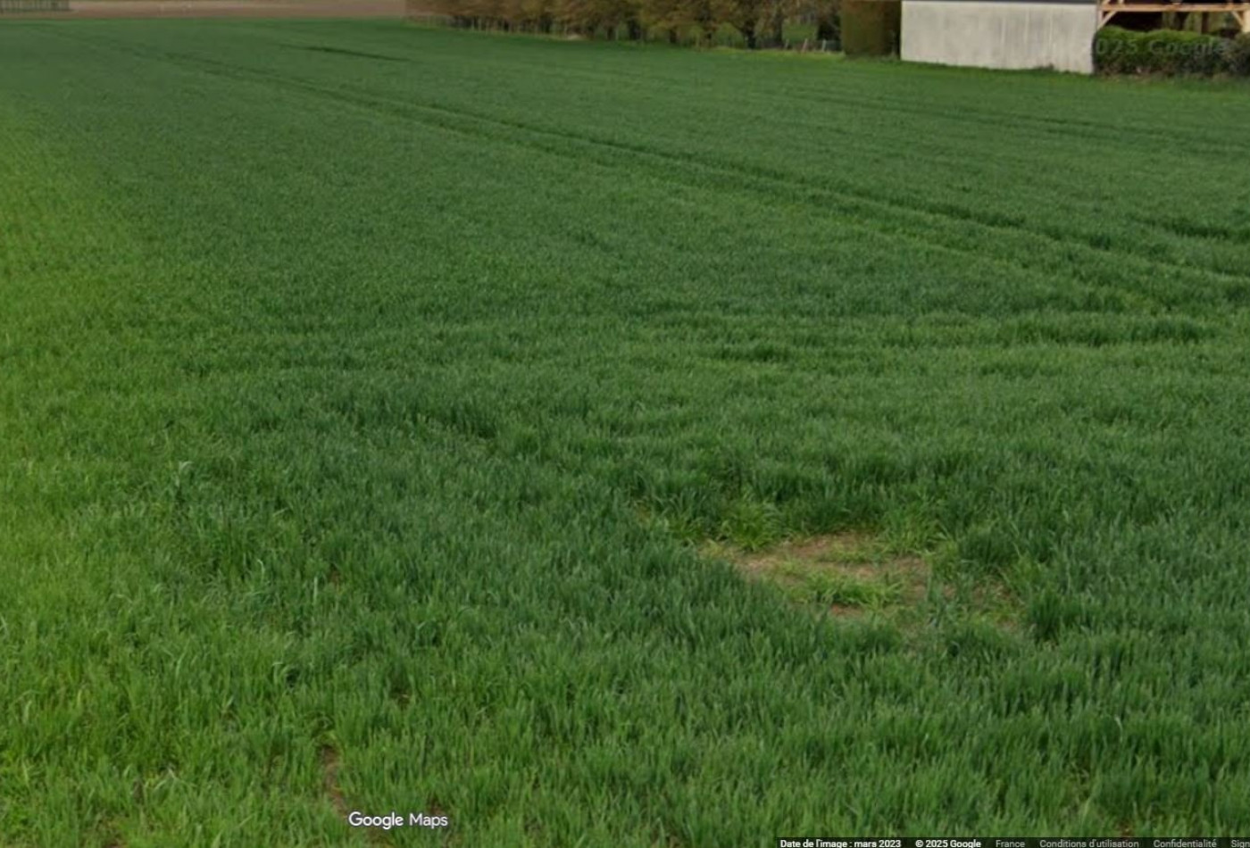 vente Terrain constructible Prunay En Yvelines - Photo 1