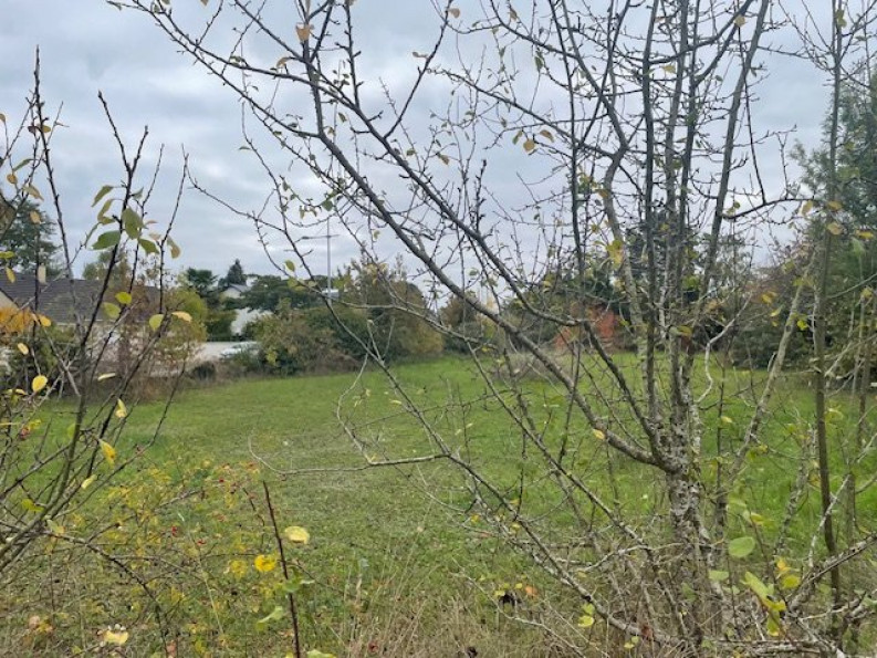 vente Terrain Ormes - Photo 2