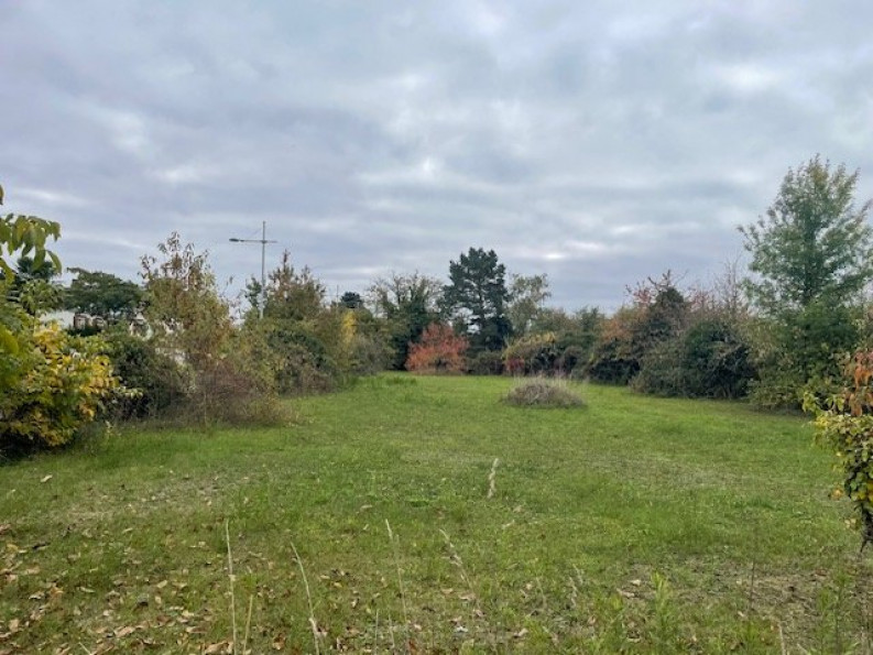 vente Terrain Ormes - Photo 1