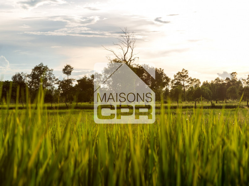 vente Terrain constructible Saint Florent Sur Cher - Photo 1