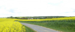 vente Terrain constructible Treon