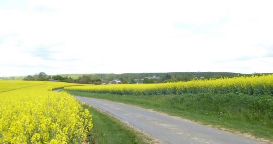 vente Terrain constructible Treon