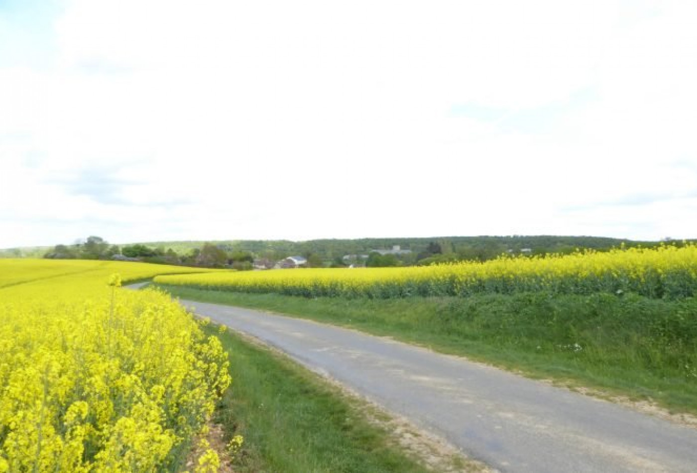 vente Terrain constructible Treon - Photo 1