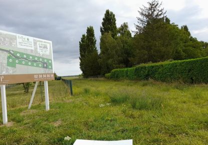 vente Terrain Chanceaux Sur Choisille