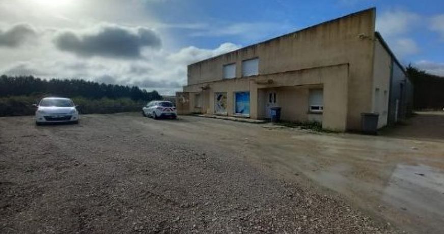 location Locaux d'activité Patay