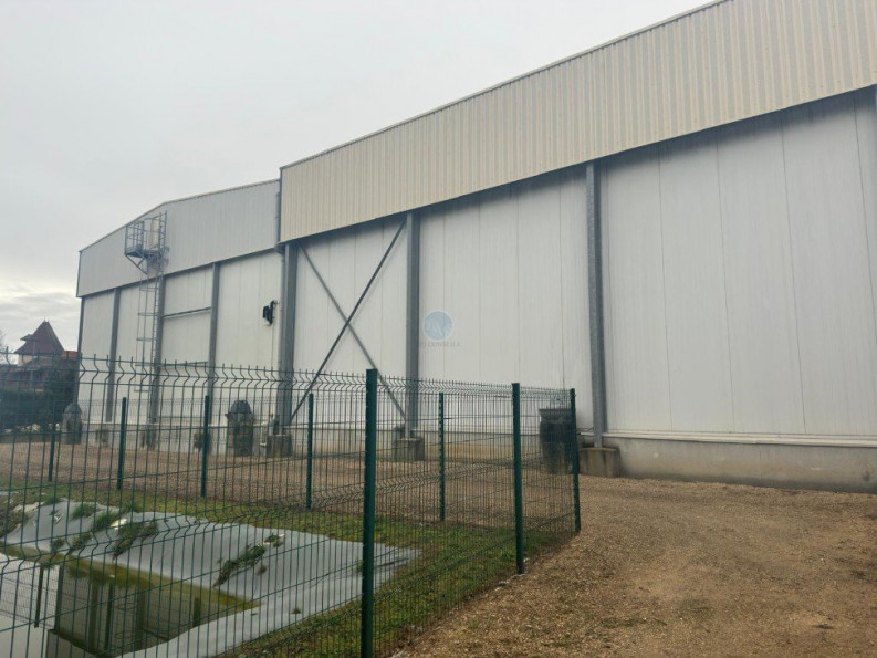 vente Locaux d'activité Chateauneuf Sur Loire - Photo 3
