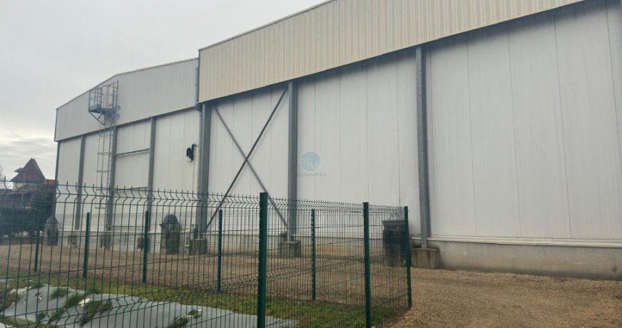 vente Locaux d'activité Chateauneuf Sur Loire