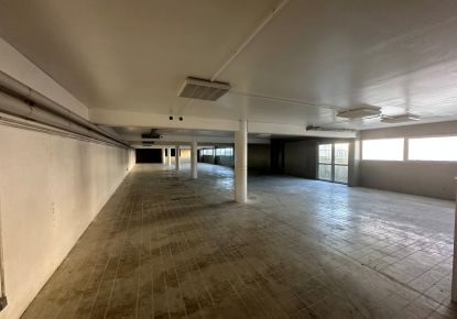 location Local commercial Luce