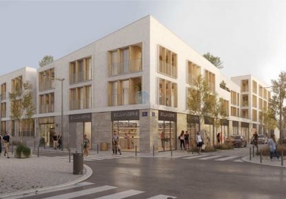 location Local commercial Olivet