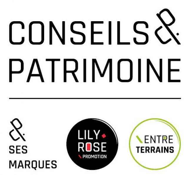 vente Terrain constructible Tigy - Photo 4