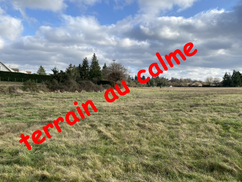 vente Terrain constructible Tigy - Photo 3