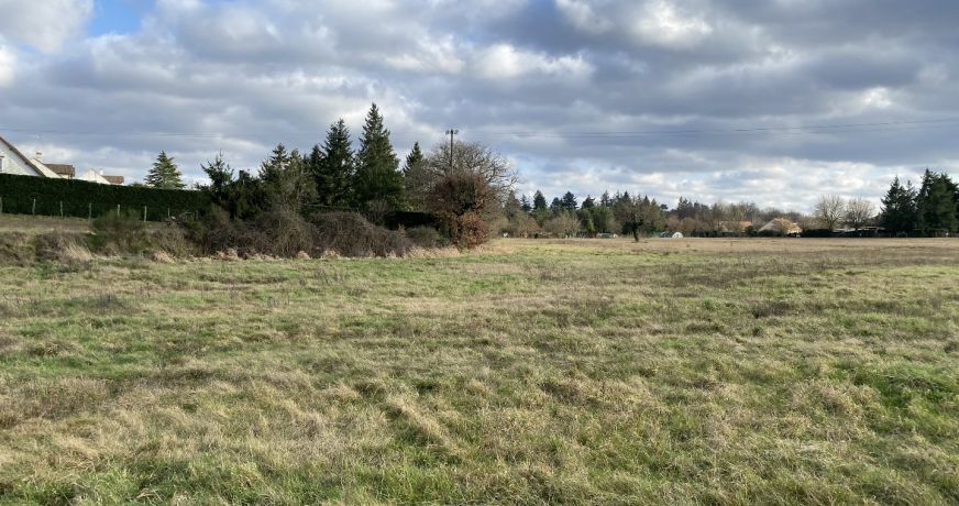 vente Terrain constructible Tigy