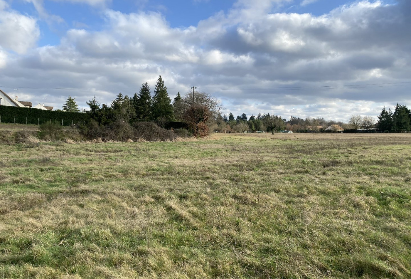 vente Terrain constructible Tigy - Photo 4