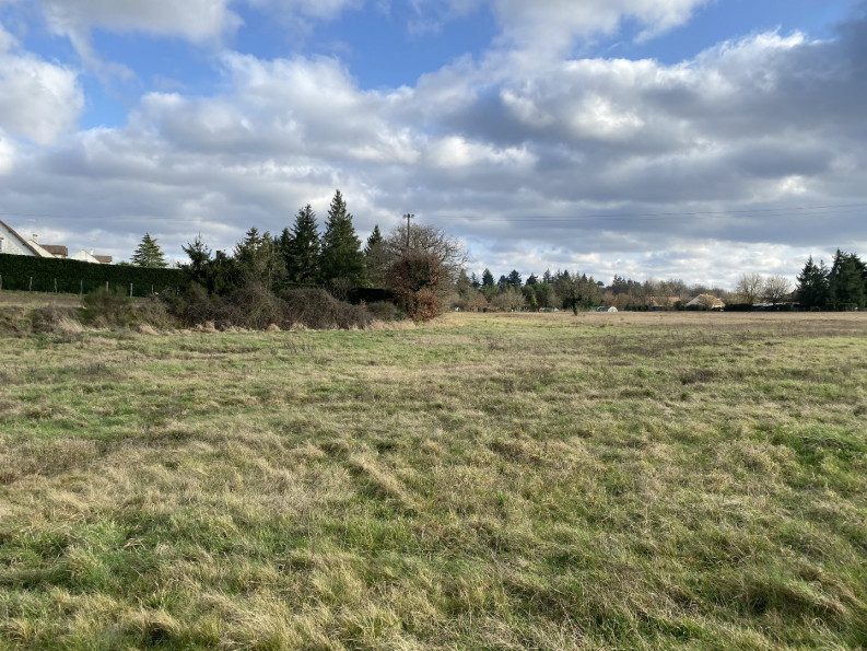 vente Terrain constructible Tigy - Photo 4