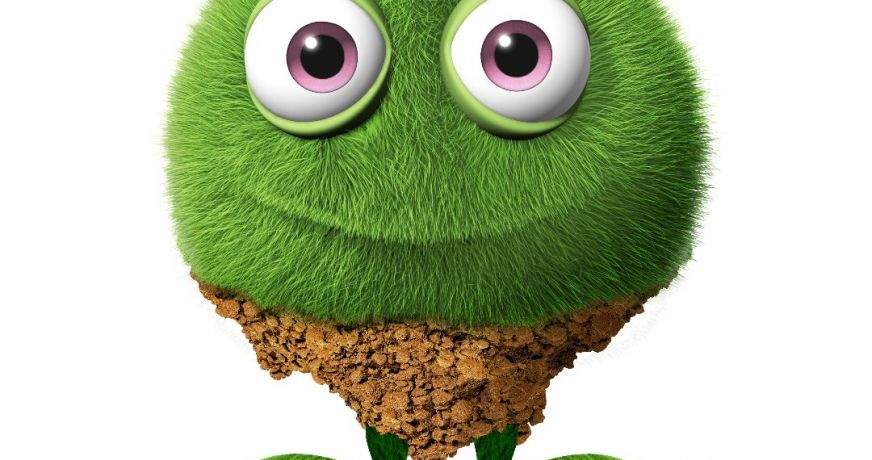 vente Terrain constructible Tigy